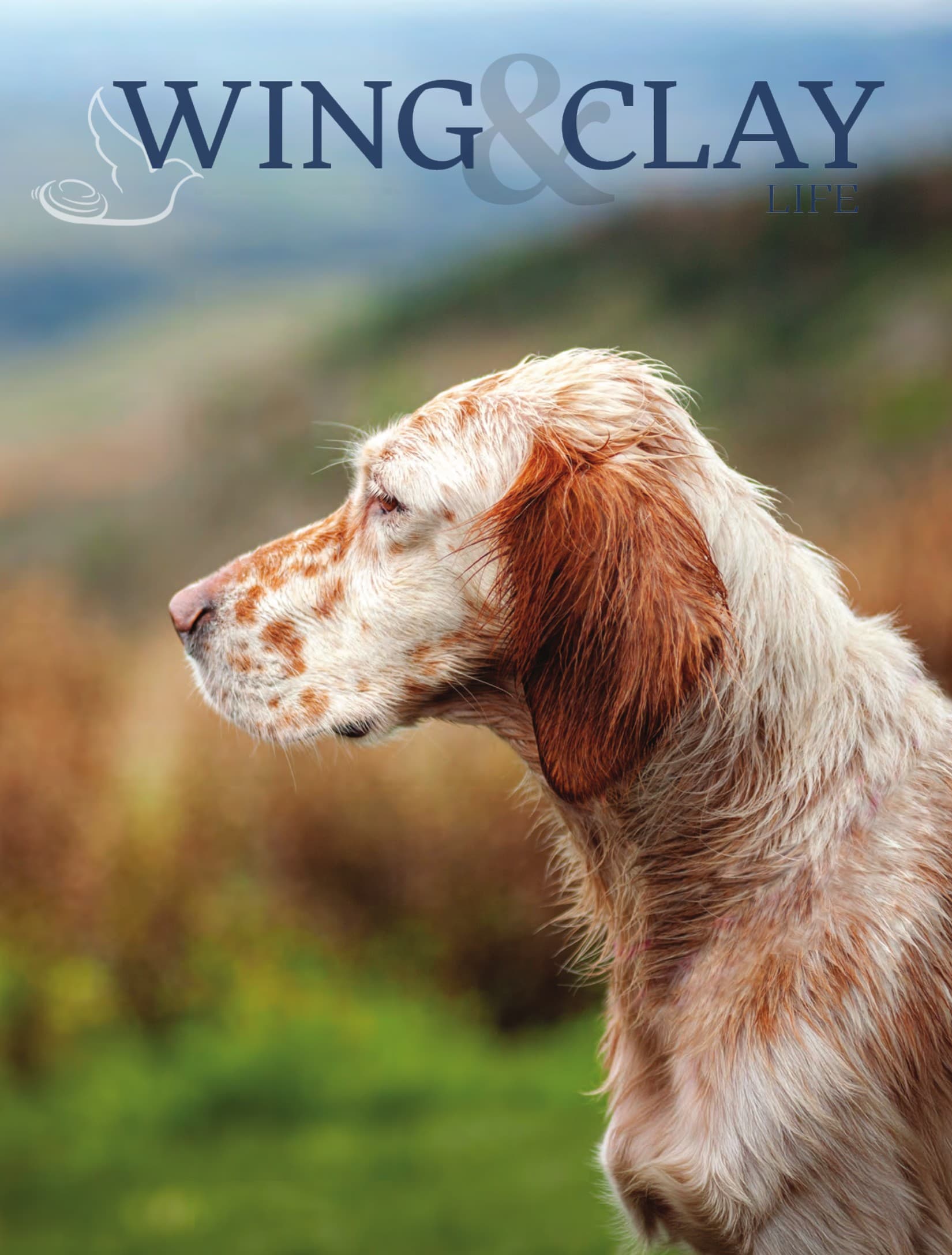 Journal 15: The Glorious Twelfth cover