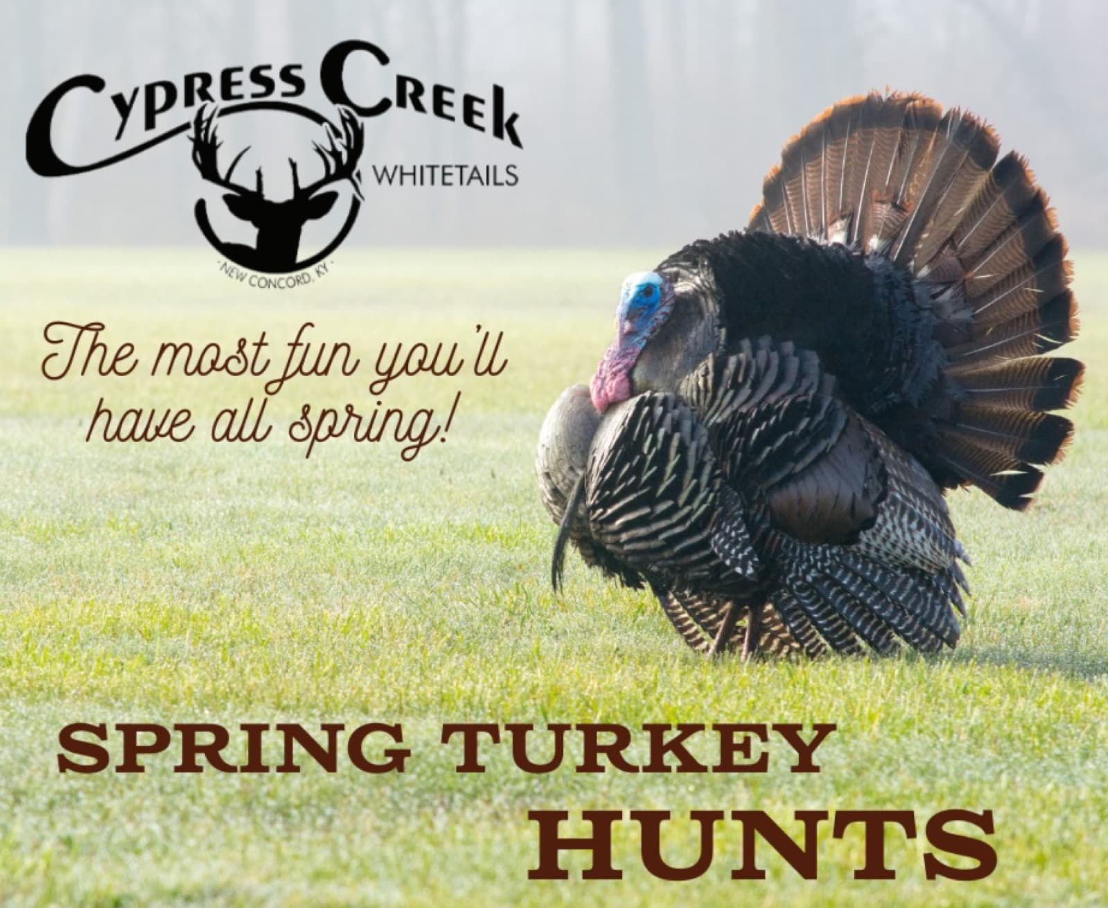 Cypress Creek Whitetails